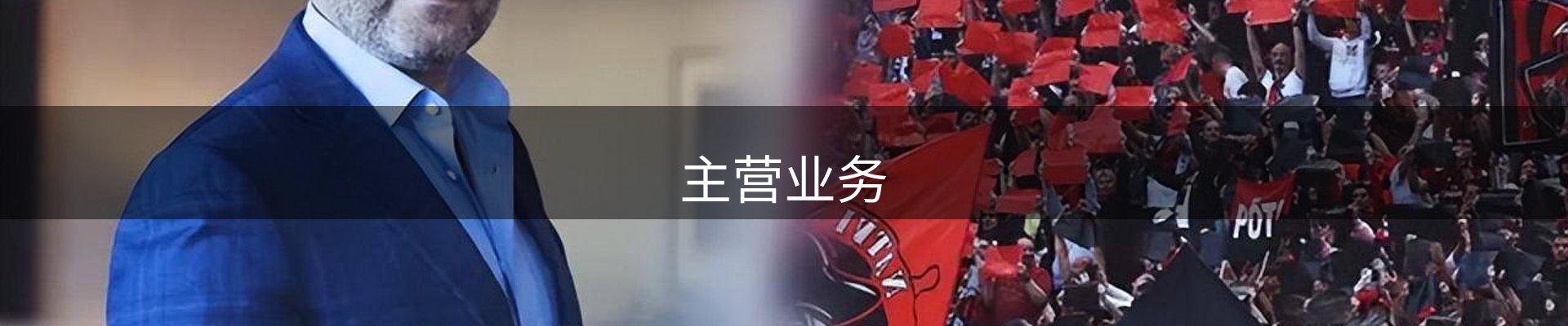 主营业务